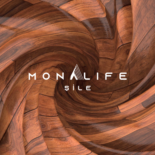 Monalife - Corporate identity