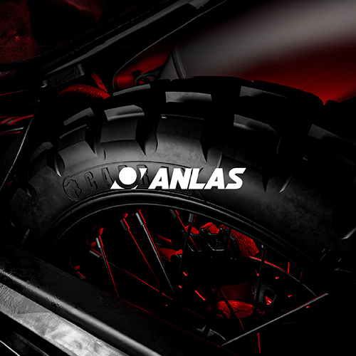 Anlas social media management